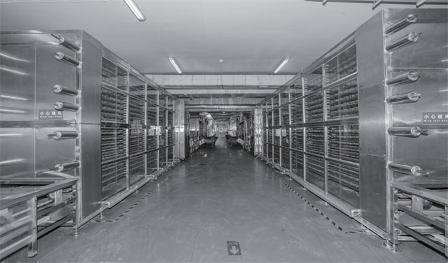 大連弘潤 以“品質(zhì)力量”加冕，無麩質(zhì)有機(jī)面如何重塑行業(yè)標(biāo)桿與市場格局